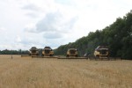 УТРО ИЮЛЬСКОГО ДНЯ НА СТАРТЕ