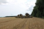 УТРО ИЮЛЬСКОГО ДНЯ НА СТАРТЕ
