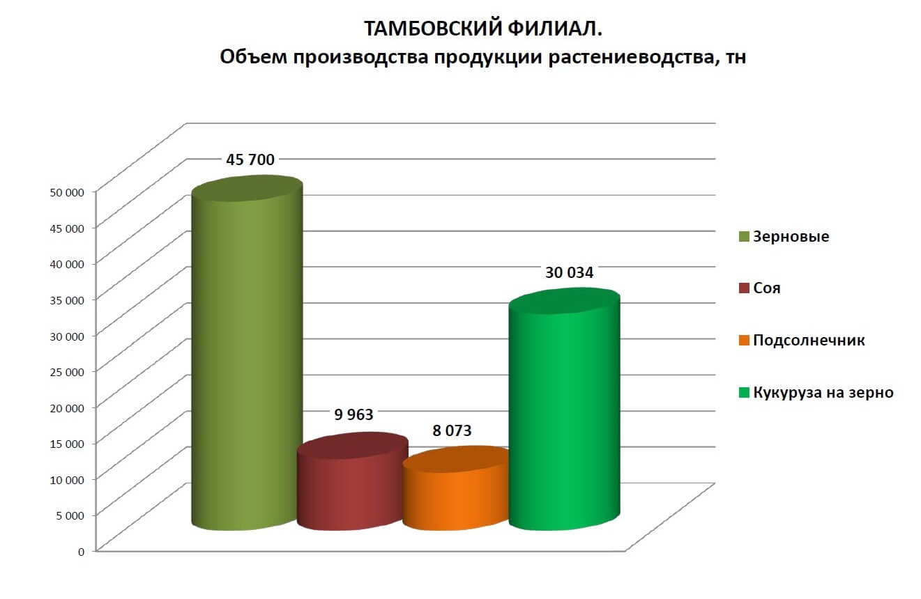 Структура компании — Тамбовский филиал